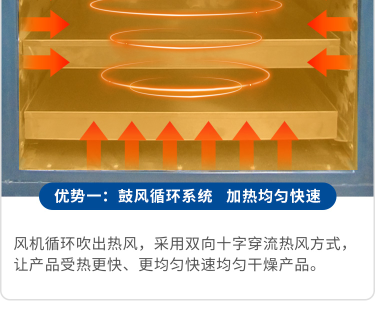 龙河牌干燥箱鼓风循环系统 快速加热均匀